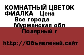 КОМНАТНЫЙ ЦВЕТОК -ФИАЛКА › Цена ­ 1 500 - Все города  »    . Мурманская обл.,Полярный г.